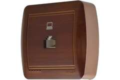 DEMET 711 0500 139 Розетка компьютерная махагон