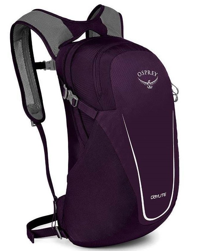 Городские рюкзаки Рюкзак Osprey Daylite 13 Amulet Purple daylite_f19_side_amulet_purple_1.jpg