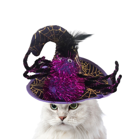 Хэллоуин шляпа ведьмы для домашних животных