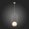 Светильник подвесной ST Luce Penolo SL1118.203.01