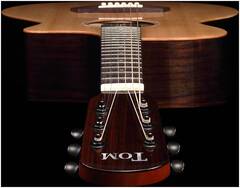 Гитара электроакустическая шестиструнная TOM GA-T1RE