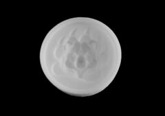 Силиконовый молд № 451 Медальон медвежья лапа