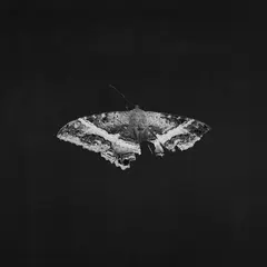 Виниловая пластинка. Kendrick Lamar - To Pimp A Butterfly (10th Anniversary) (Metallic Blend Vinyl)