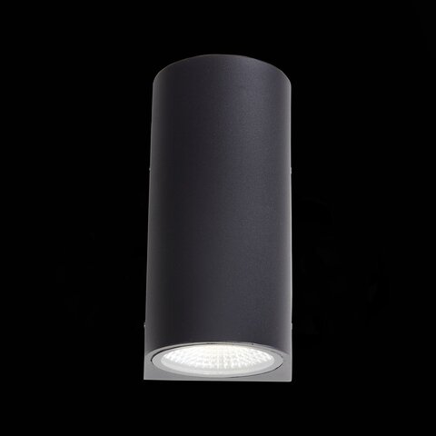 Светильник уличный ST Luce Deale SL088.411.02