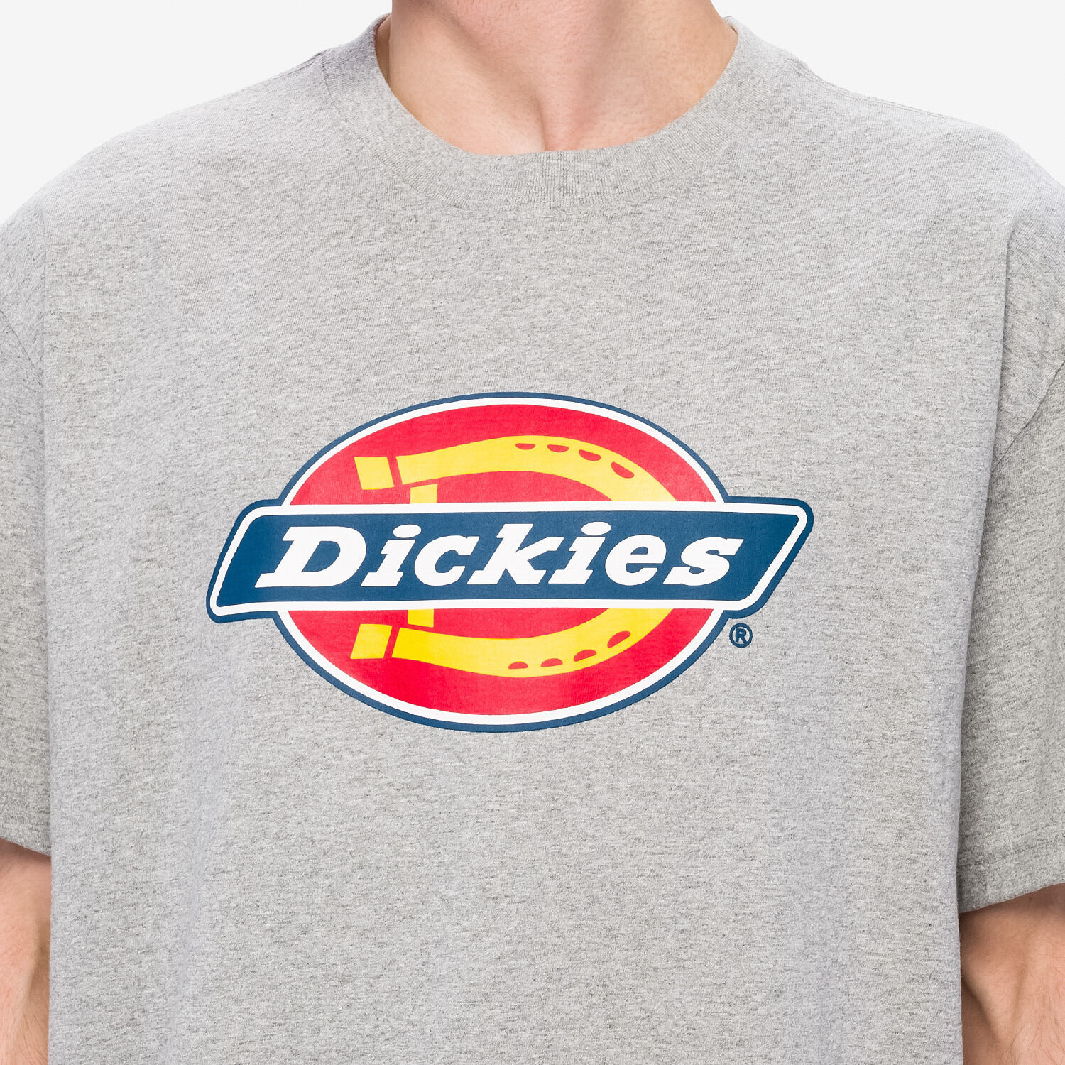 Dickies tykes t-shirt store