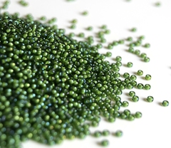 8/0 RR-3764 Fancy lined soft chartreuse