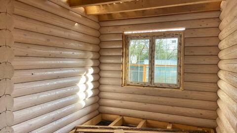 BL-0018 Беленый дуб