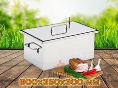 Коптильня Профи 600х350х300 мм с гидрозатвором.