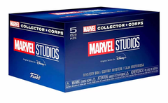 Marvel Collector Corps. Marvel Studios Disney+ Series 1