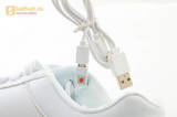 Светящиеся кроссовки с USB зарядкой Fashion (Фэшн) на шнурках, цвет белый, светится вся подошва. Изображение 18 из 29.