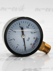 Belamos Манометр PGS50 RAD 1/4", вертикальный (50 мм/6 бар)