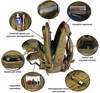Картинка рюкзак тактический Skully Tactic RWZS29 army green - 14