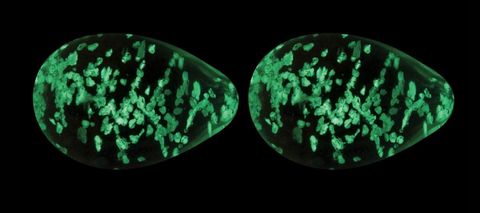 Прозрачные, светящиеся в темноте вагинальные яички Kegel Eggs - NS Novelties Firefly NSN-0490-61