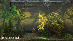 Aquarist (для ПК, цифровой код доступа)