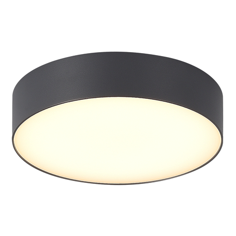 Светильник уличный потолочный ST Luce Sun SL9518.702.01