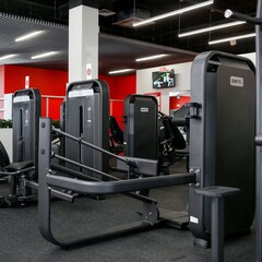 Жим ногами (Leg Press) DHZ E-7003. Стек 115 кг