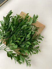 Искусственная зелень декоративная, букет 5 веток, 36 см, цвет Темно-зеленый, набор 1 букет