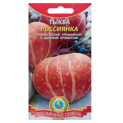 Семена Тыква Россиянка