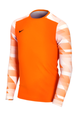 Вратарская кофта Nike Dry Park IV LS GK Детская