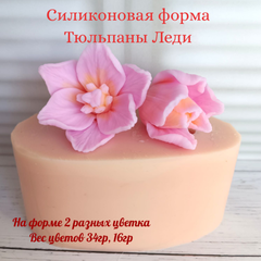 Силикон.форма 