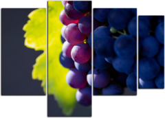 Модульная картина "Черный виноград"