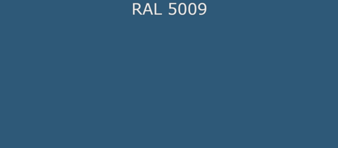 RAL5009