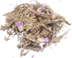 Сухоцвет (трава)