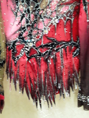 Купальник для выступления