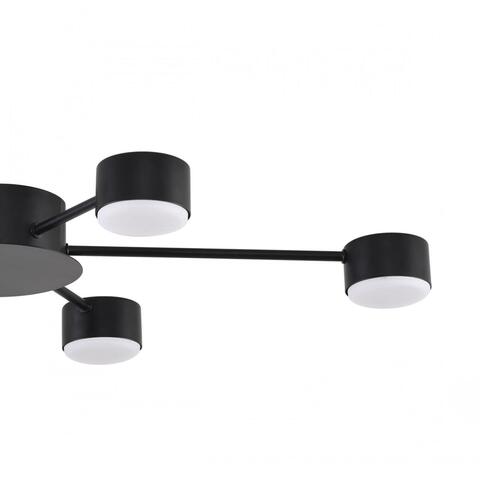 Потолочная люстра Lumion TORINA 8344/6C