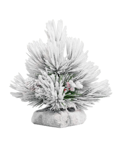 Сосна настольная (иней) 45 см