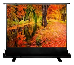 Экран Cactus 150x200см FloorExpert CS-PSFLE-200X150 4:3 напольный рулонный — фото 2