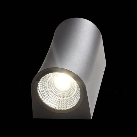Светильник уличный ST Luce Deale SL088.411.02