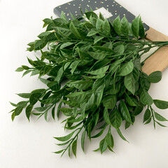 Искусственная зелень декоративная, букет 5 веток, 36 см, цвет Темно-зеленый, набор 1 букет