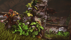 Ghost of a tale (для ПК, цифровой код доступа)