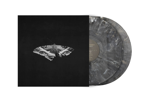 Виниловая пластинка. Kendrick Lamar - To Pimp A Butterfly (10th Anniversary) (Metallic Blend Vinyl)