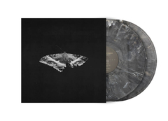 Виниловая пластинка. Kendrick Lamar - To Pimp A Butterfly (10th Anniversary) (Metallic Blend Vinyl)