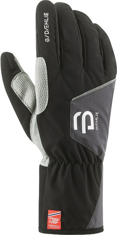 Картинка перчатки лыжные Bjorn Daehlie Glove Track Black - 1