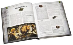 Ролевая игра. Warhammer Fantasy Roleplay!
