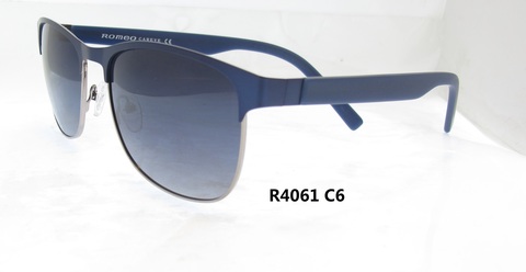 R4061C6