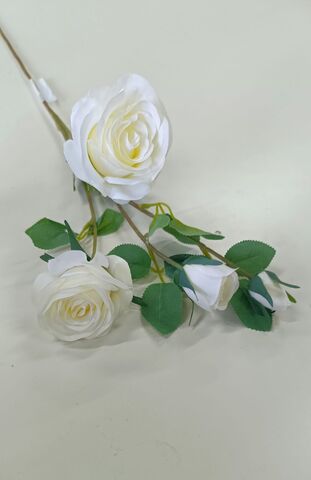 Роза кустовая Джессика (Белый)