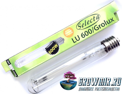 Лампа Selecta LU 600/Grolux