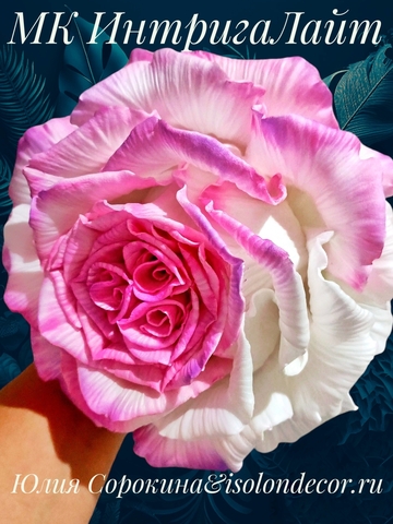 Молд + Вайнер лепесток универсальный 