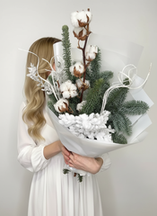 "Ледяной мираж"