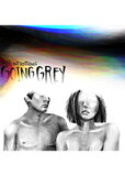 FRONT BOTTOMS, THE: Going Grey (Компакт-диск)