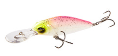 Lucky John Shad XDR 010