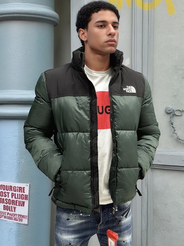 Куртка The North Face 374982green