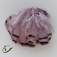 Перо French Partridge Hackles (20 шт)