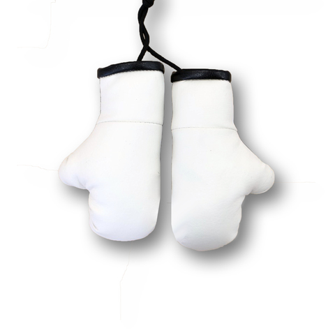 Перчатки боксерские комбинированные, белые с черным