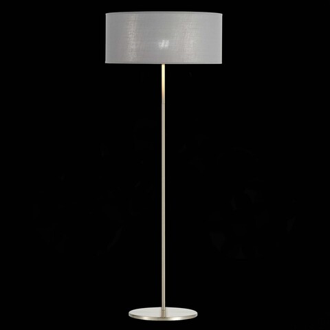 Торшер Evoluce Brescia SLE300515-01