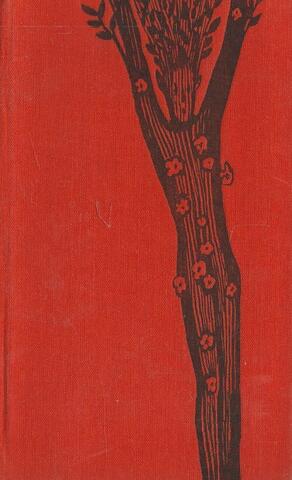 Чудесные приключения Жоана Смельчака